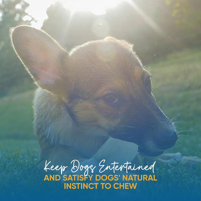 Authentic imported USA pet dental care chews for dogs