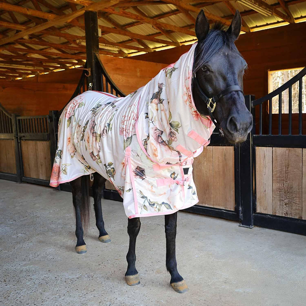 Jeffers Expression equestrian protective sheet packaging and full print pattern layout