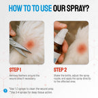 Silver Grade chicken health spray in lifestyle farm setting