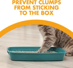 Arm and Hammer cat litter powder showing moisture activated baking soda crystals