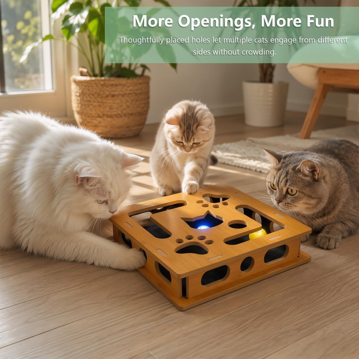 Luampo imported USA pet enrichment maze scratcher box top view