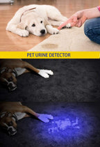Darkbeam ultraviolet blacklight showing adjustable zoom lens feature