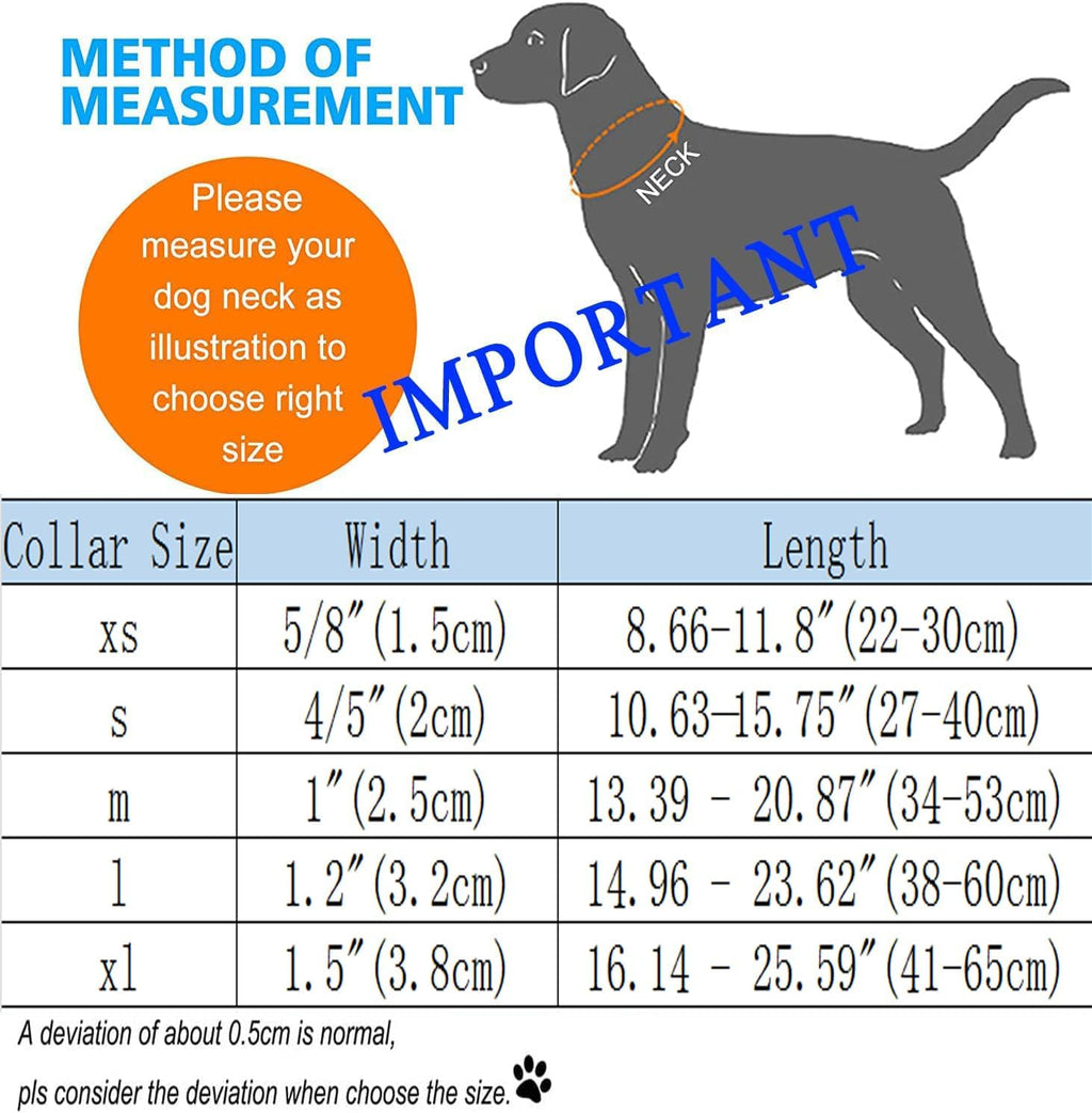 DOGWONG Christmas dog collar set on white background