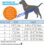 DOGWONG Christmas dog collar set on white background