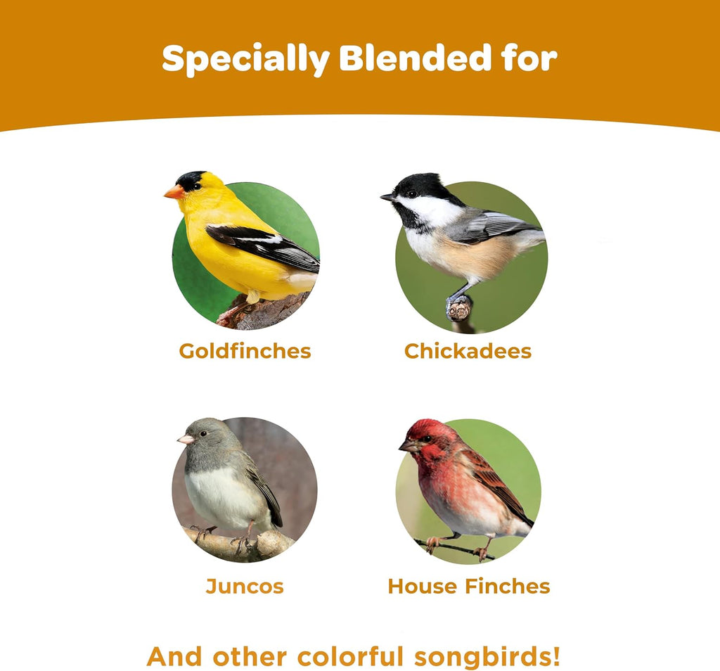 Wild finch blend seed texture and high quality mix