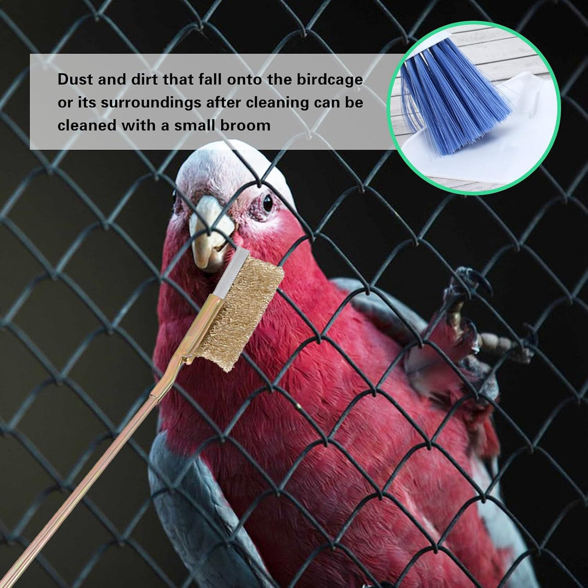 Broom and dustpan brush head set for sweeping scattered bird seeds and pet debris