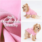 Toy Poodle puppy modeling the pink Baobicute sporty dog hoodie during winter walk.