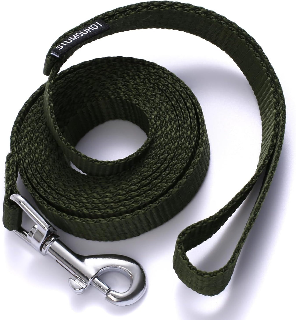 6 FT Puppy Leashes, Strong Traditional Style Leash with Easy to Use Collar Hook,Dog Lead Great for Small and Medium and Large Dog (Rainbow, 5/8 in x 6 ft) - Image 9