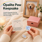 Pet Loss Sympathy Gift, Opalite Paw with Rainbow Bridge Card, in Loving Memory Keepsake, Pet Bereavement Comfort Gift, Pocket Hug for Dog Cat Loss & Grief Support for Pet Owners - Image 2