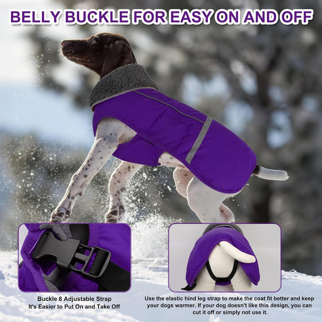 Detailed view of Doglay dog jacket elastic hind leg straps