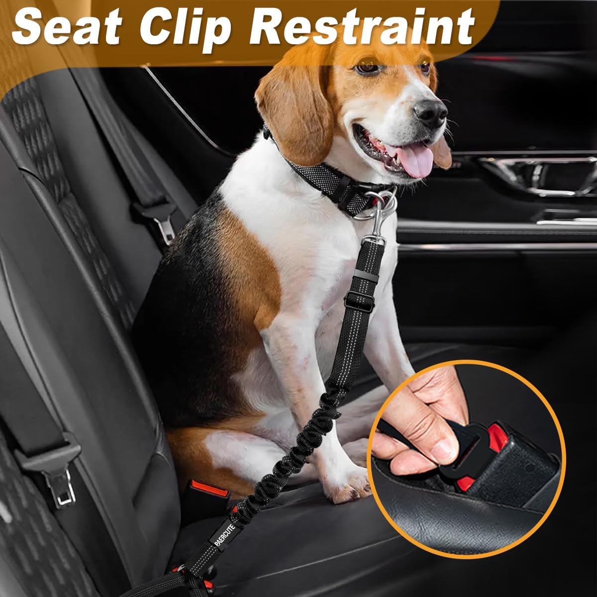 Dog wearing harness attached to Paercute seat belt in car