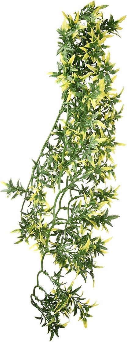 Detailed leaf structure of Exo Terra Mandarin plant