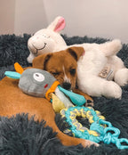 Battery powered heartbeat simulator for dog sleep aid