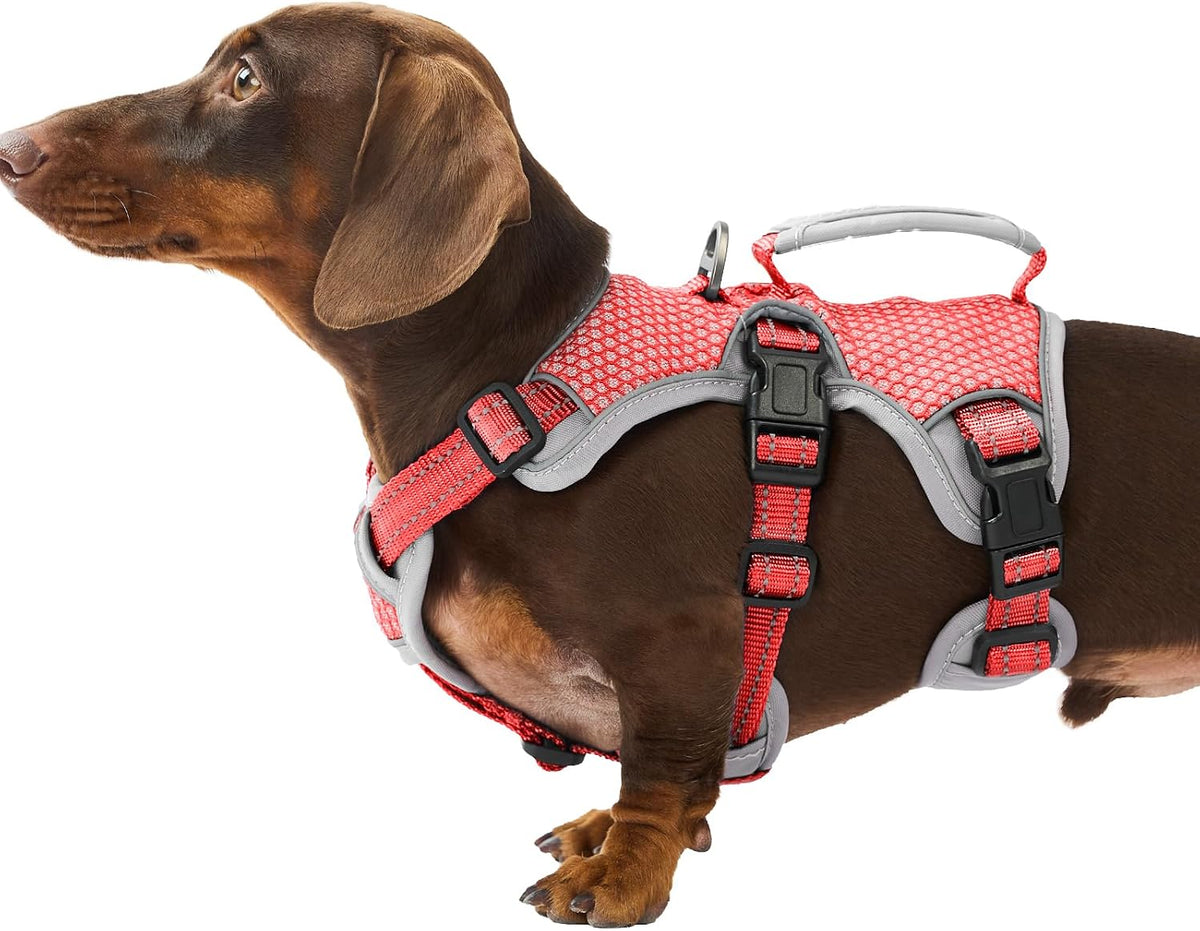 Huntboo escape proof dog harness with quick release buckles open view