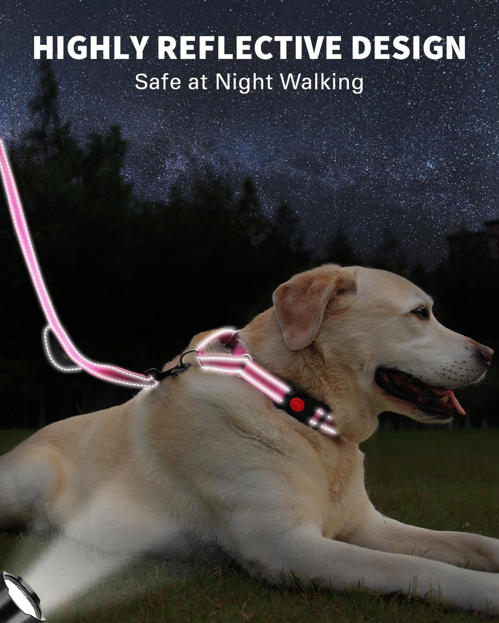 FunTags adjustable medium dog collar sixteen to twenty inches sizing view