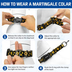 Martingale collar showing metal D-ring and adjustment slider