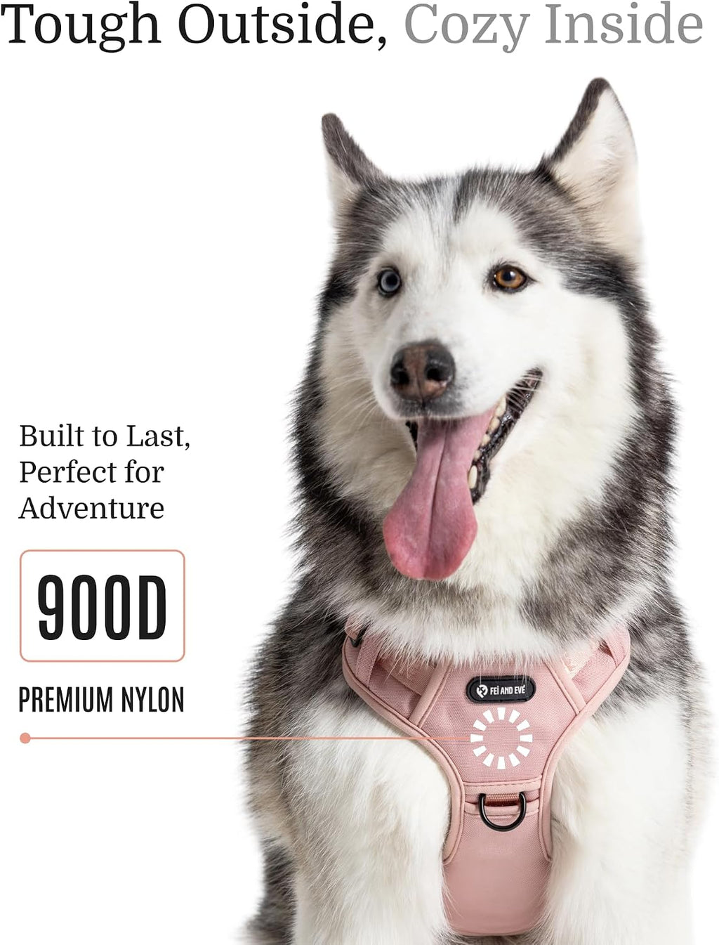 Fei and Eve dog vest showing dual control handles