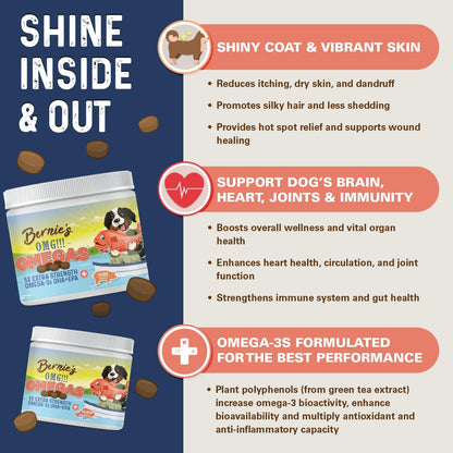 Back label details of Bernie's premium fish oil chews displaying EPA and DHA concentrations and nutritional facts.