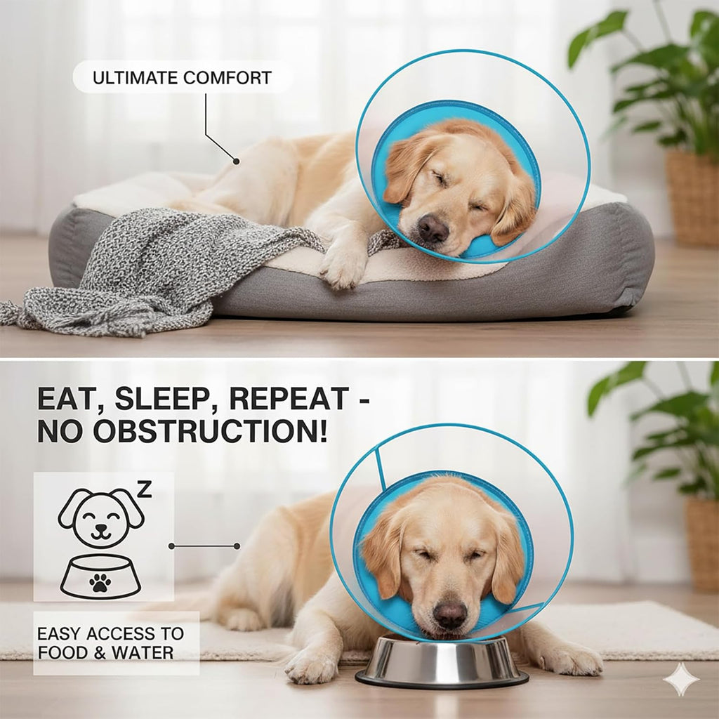 Adjustable pet recovery collar in blue medium plus size side view
