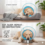 Adjustable pet recovery collar in blue medium plus size side view