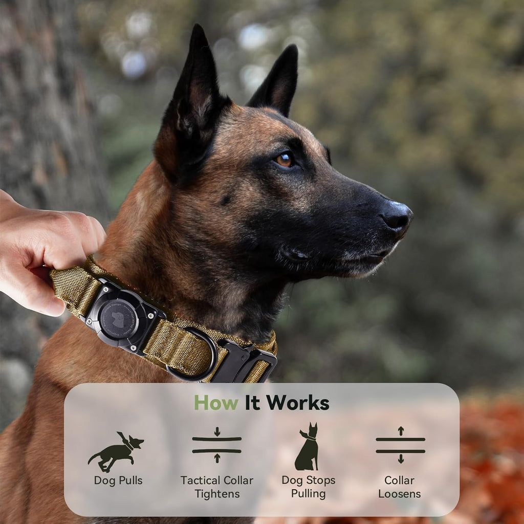 Odokele tactical collar on large dog in outdoor setting