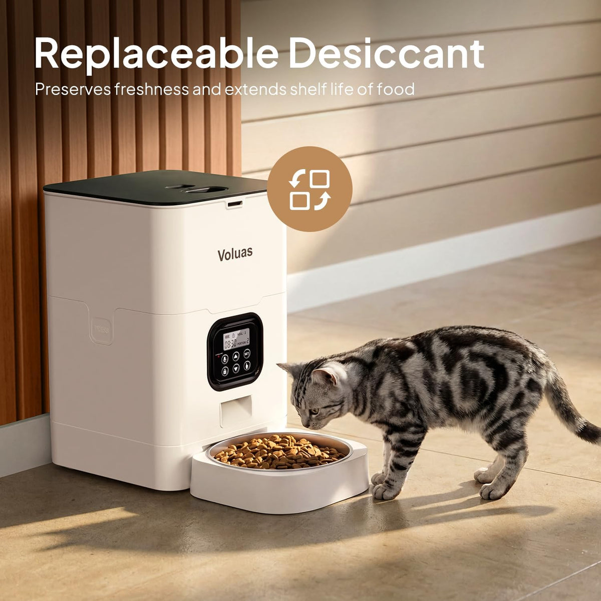 Voluas automatic dog and cat food dispenser placed in a modern living room