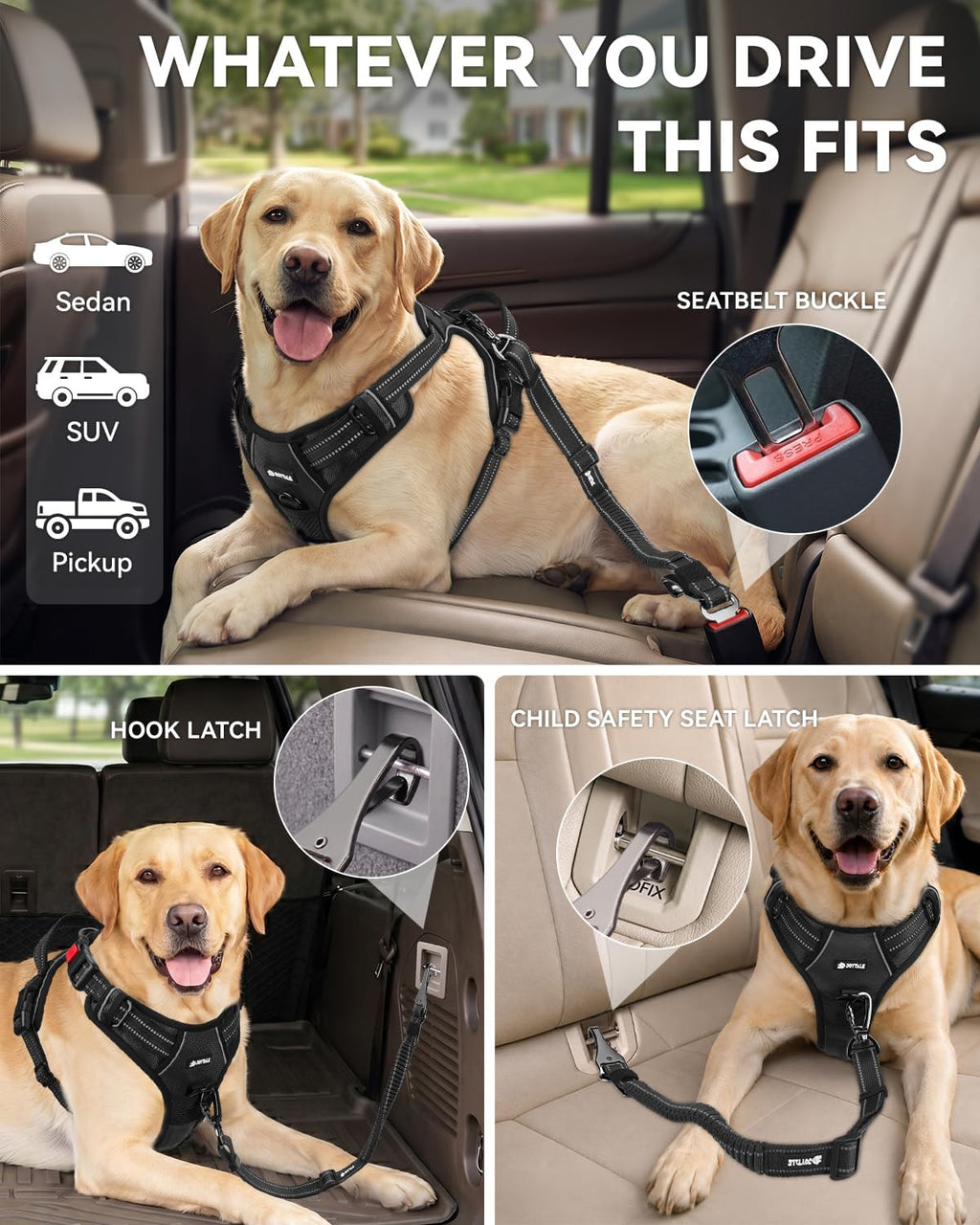 Close up of Joytale dog seat belt locking carabiner