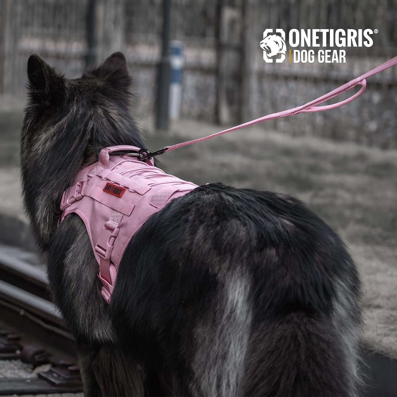 Premium zinc alloy metal swivel clip on the OneTigris pink training leash
