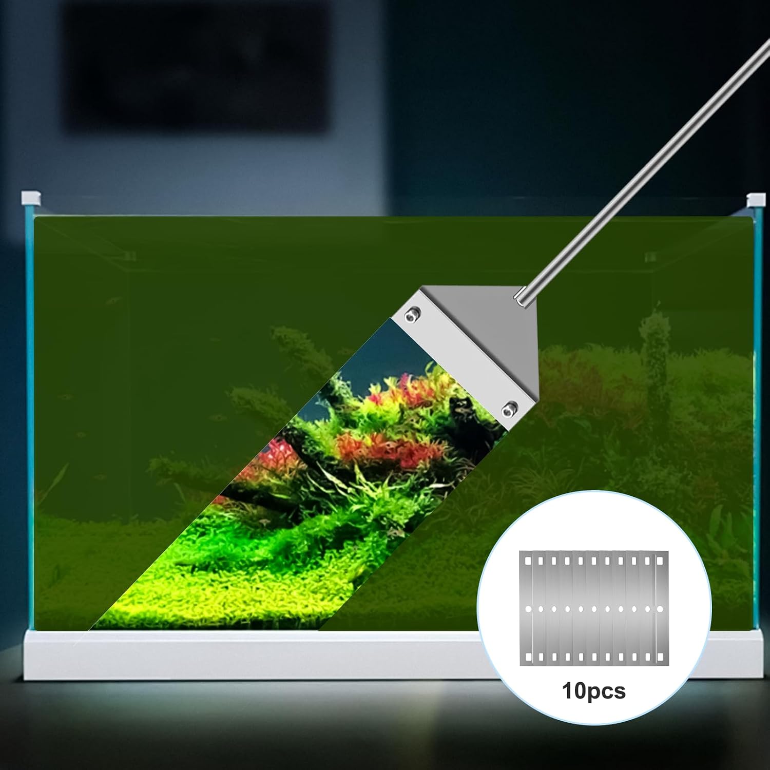 Using the twenty-five-inch long handle fish tank glass cleaner to reach the bottom substrate without wet hands.