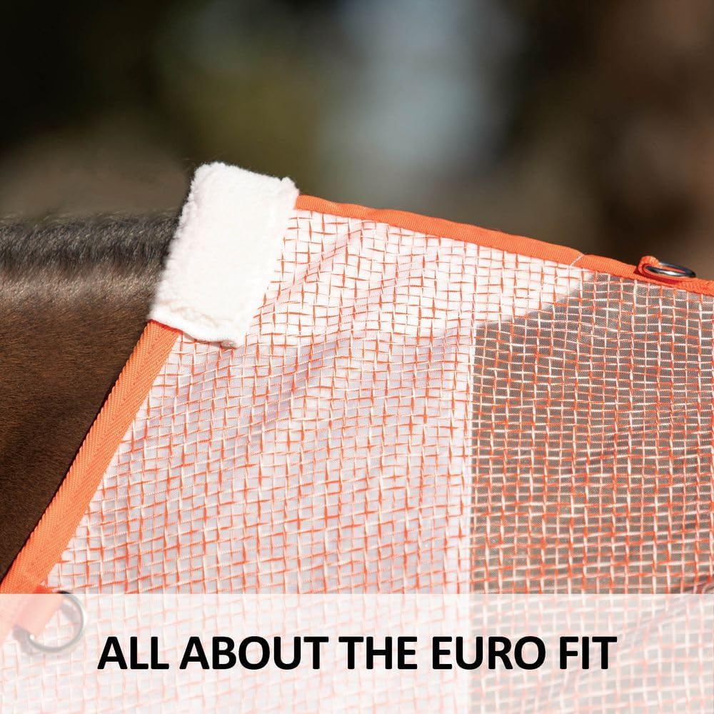 Schneiders protective horse sheet showing contoured seamless back fit