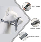 Large black and white striped dog training nose leash for walking control
