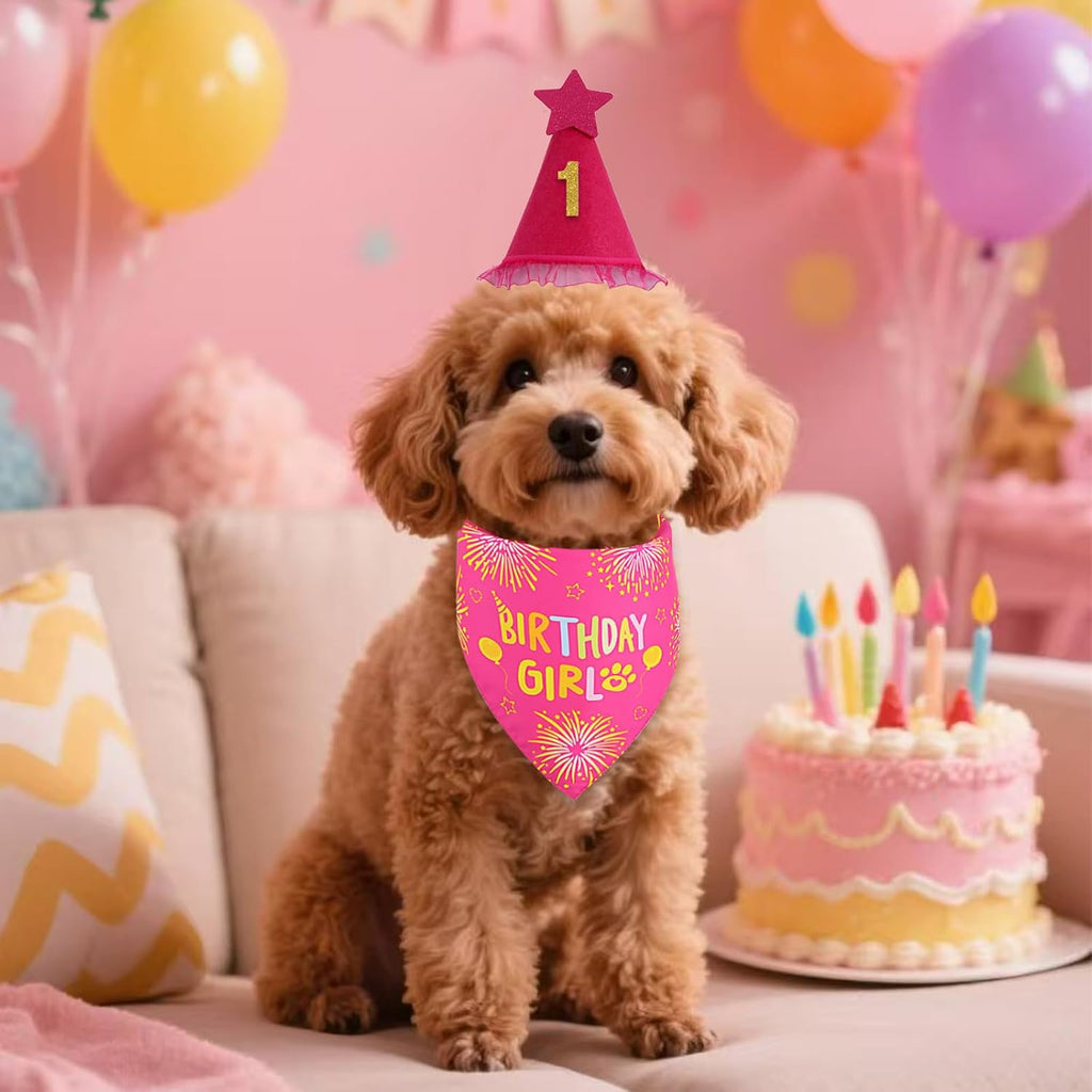 Small and large size comparison of Agroon dog birthday supplies