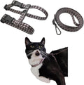 Muejjur Cat Harness and Leash Set front view