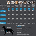 Asenku waterproof dog coat showing metal snap button closure