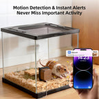 SV3C walnut wood pet camera in a naturalistic habitat setting