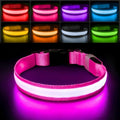 PcEoTllar light up dog collar glowing in pink