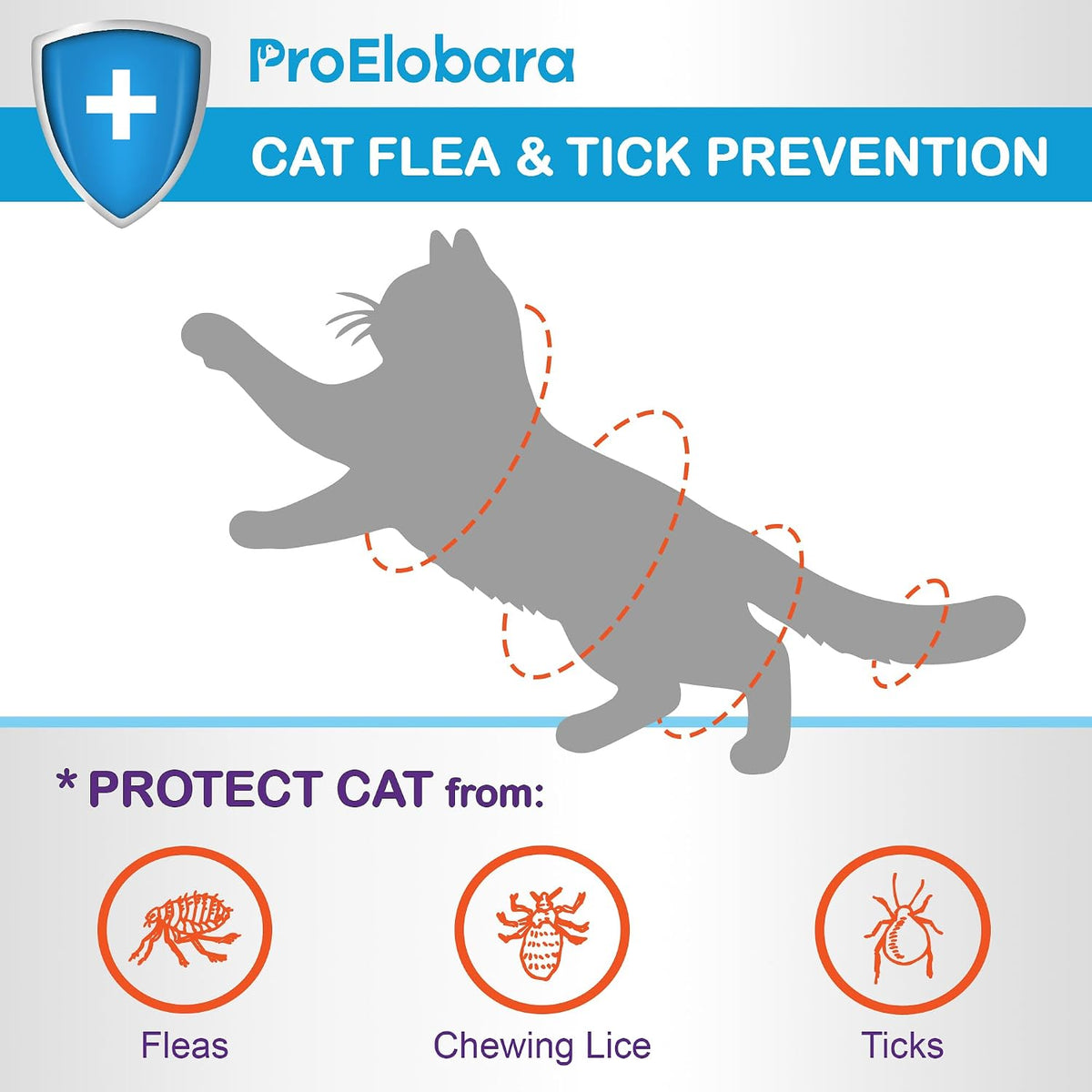 Waterproof pet pest control treatment application instructions on box