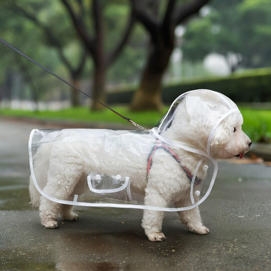 HydroPaw transparent cape style dog raincoat front view on a small dog