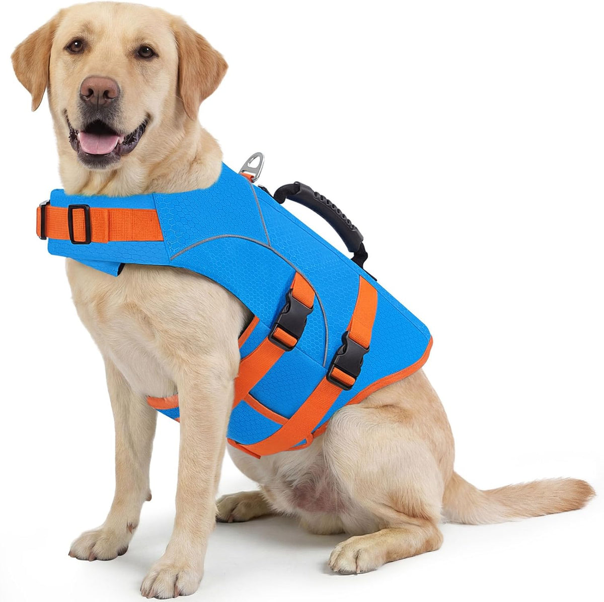 ASENKU dog life jacket front view on extra large breed dog