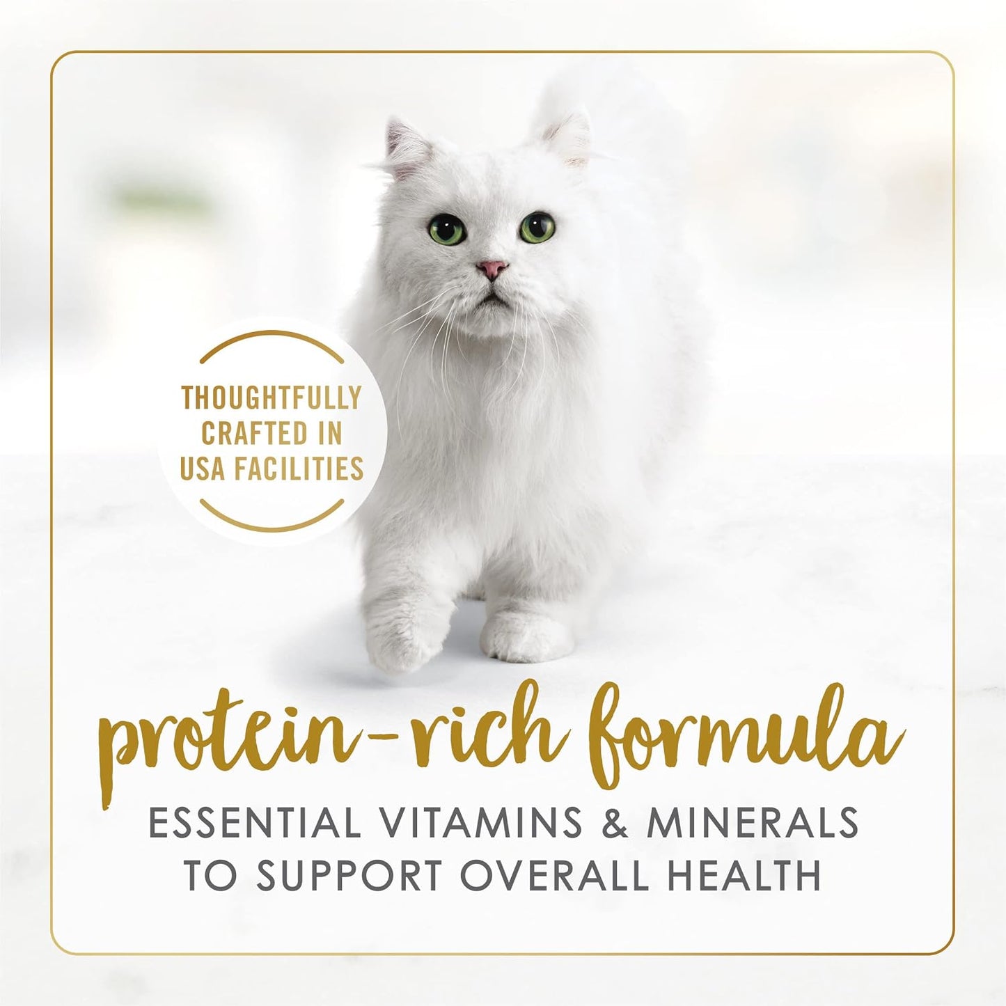 Purina Fancy Feast Grilled Wet Cat Food Texture And Gravy