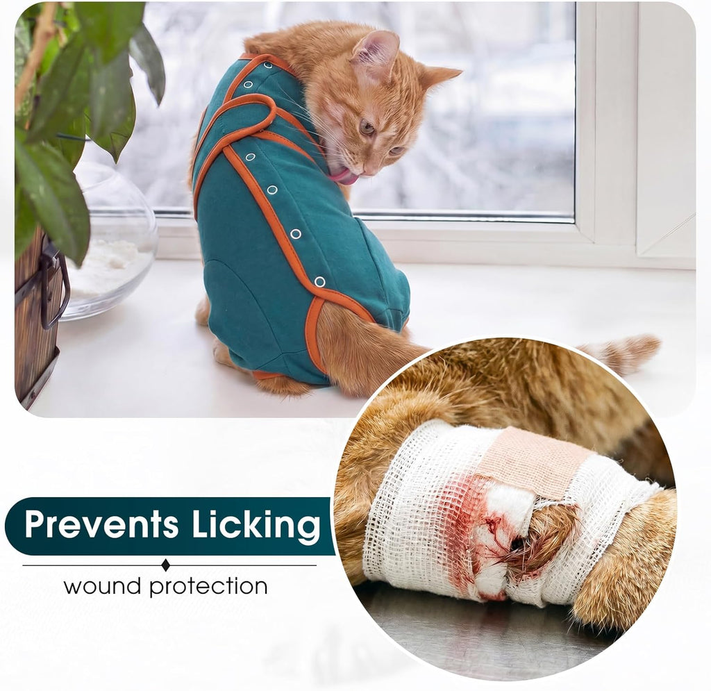 Cat using litter box while wearing Dentrun recovery onesie