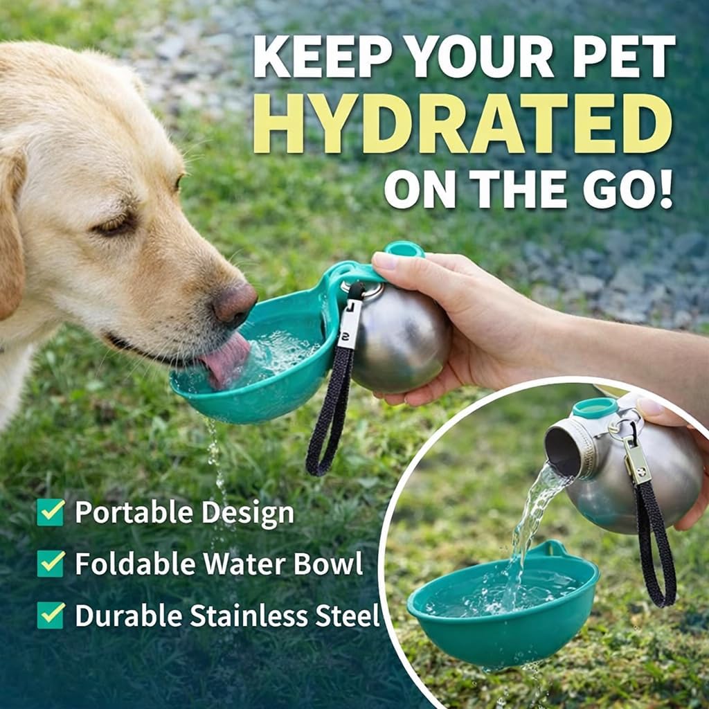 Petnf compact dog drinking bowl folded neatly over the silver cylindrical base.