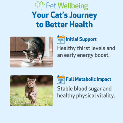 Bacon flavored herbal supplement for feline health