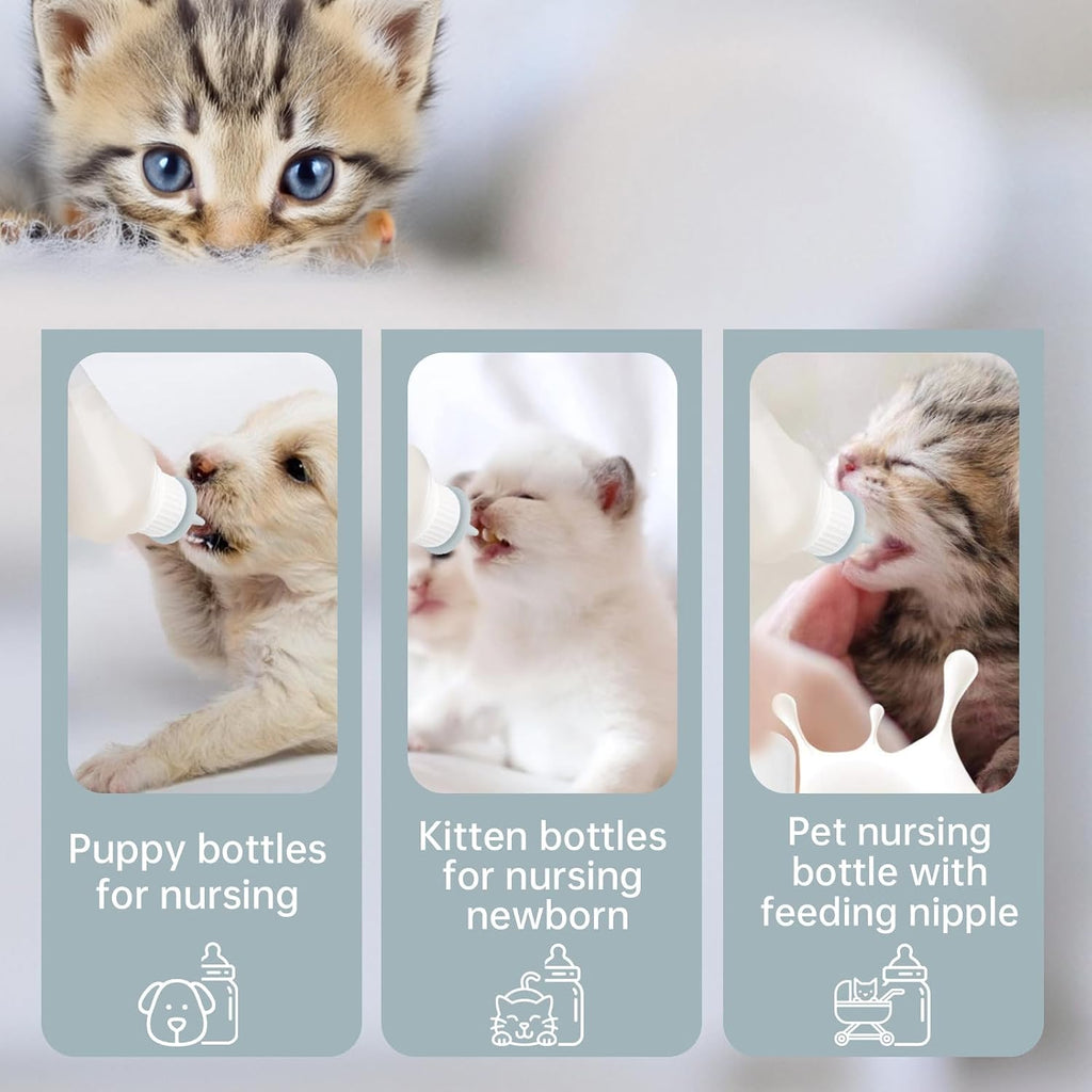 Xuandea 50ml measuring beaker for precise kitten formula preparation
