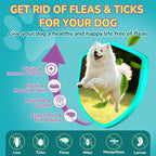 Woyamay flea and tick prevention for dogs daily soft treats packaging details