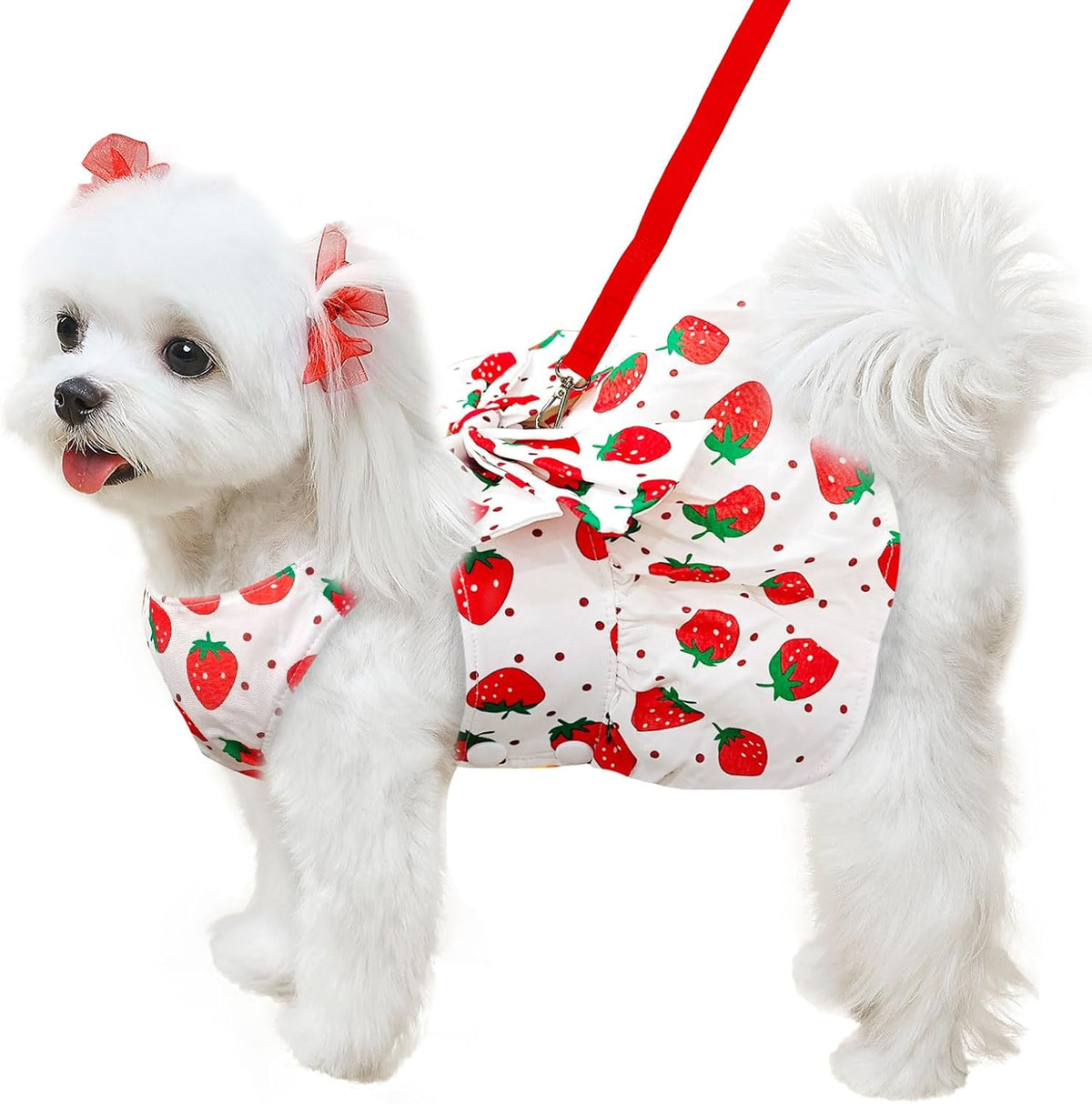Premium metal D-ring leash attachment point on the ABRRLO floral cat dress.