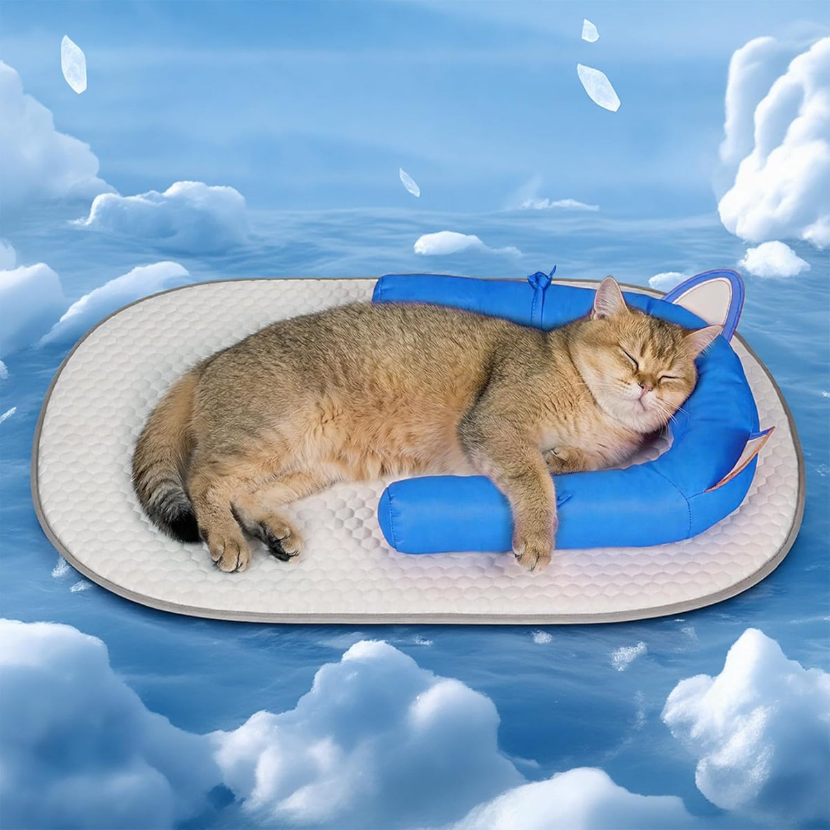 Small dog and cat relaxing on Pawfun cooling bed
