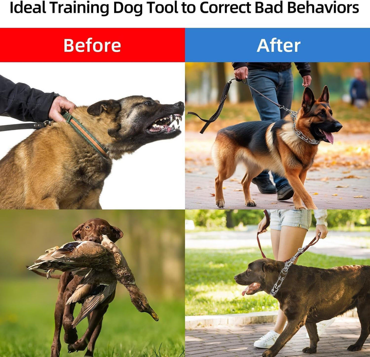 Aheasoun behavioral correction pinch collar with comfort rubber tips