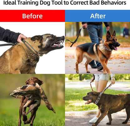Aheasoun behavioral correction pinch collar with comfort rubber tips