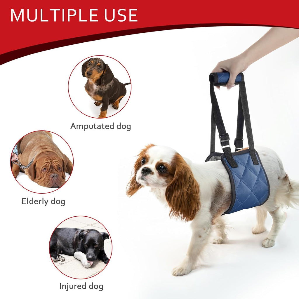 Adjustable strap detail on dog lift support sling